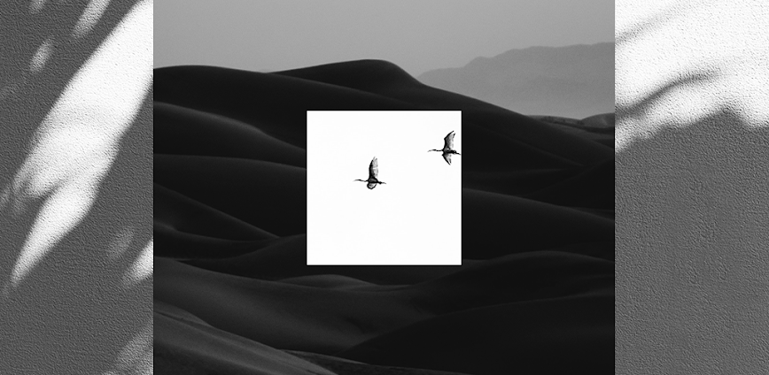 EPIK MOD APK (Pro Unlocked) v4.3.10