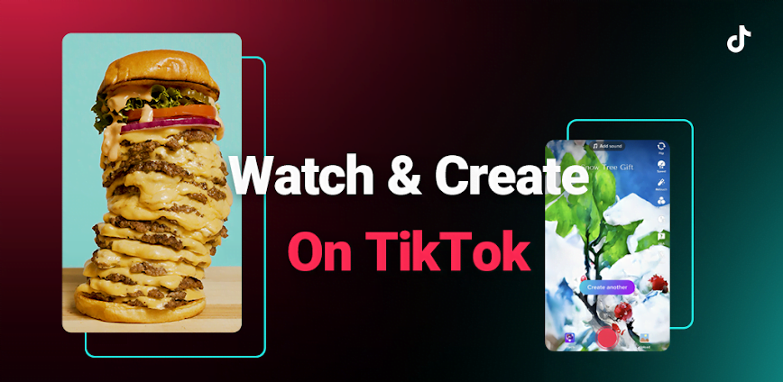 TikTok ReVanced APK v33.0.5