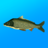 True Fishing MOD APK (Unlimited Money) v1.16.4.820 icon